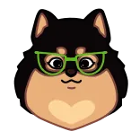 🤓 Hund, Brille, Haustier, Tier, süß, Shiba Inu telegram sticker