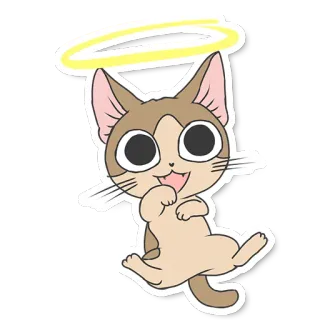 😇 แมว, นางฟ้า, รัศมี, น่ารัก, สัตว์, คาวาอิ, สติกเกอร์ telegram sticker