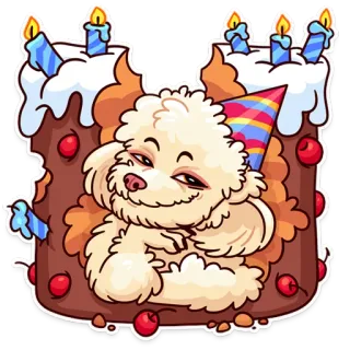 🎂 perro, tarta, cumpleaños, fiesta, celebración, mascota whatsapp sticker