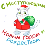 🎅 С наступающим Новым Годом и Рождеством new year, christmas, cat, santa, holiday, greeting telegram sticker