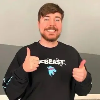 🌟 MrBeast mrbeast, youtube, thumbs up, celebrity, influencer telegram sticker