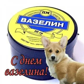 🍯 ВАЗЕЛИН
С днем
вазелина! vaseline, dog, corgi, ointment, russian, greeting telegram sticker