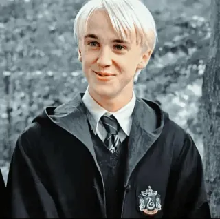 🐾 Draco Malfoy Harry Potter 드레이코 말포이, 해리 포터, 슬리데린, 마법사, 캐릭터, 소설 telegram sticker