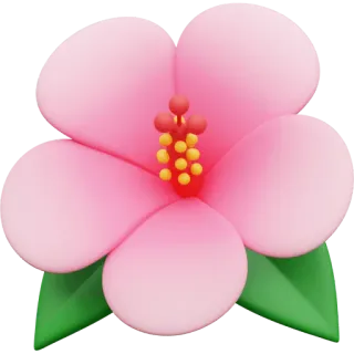 🌺 fiore, rosa, ibisco, natura, tropicale whatsapp sticker