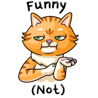 😏 Funny
(Not) แมว, ตลก, ประชดประชัน, สีส้ม, สติกเกอร์, ตลก whatsapp sticker