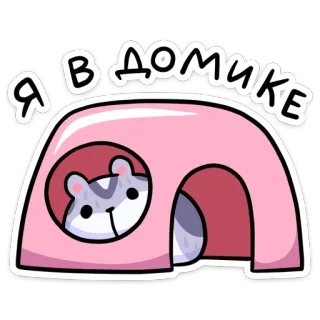 🏡 Я в домике 햄스터, 동물, 귀여운, 집, 만화 telegram sticker