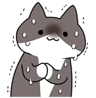 😣 chat, transpiration, nerveux, dessin animé, animal, inquiet, mignon whatsapp sticker