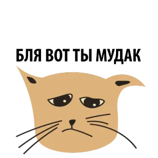 😕 gato, triste, desenho, animal, fofo, adesivo telegram sticker