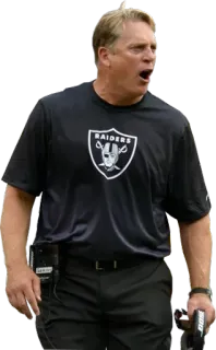 😡 Jon Gruden, Raiders, NFL, Allenatore, Football americano, Sport telegram sticker