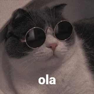 👋 ola cat, sunglasses, greeting, cool, pet, animal telegram sticker