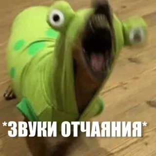 😫 *ЗВУКИ ОТЧАЯНИЯ* dog, despair, animal, meme, funny, frog, costume, russian telegram sticker
