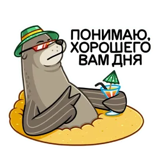 😎 ПОНИМАЮ. ХОРОШЕГО ВАМ ДНЯ foca, piscina, relax, estate, animale, cartone animato, bevanda, occhiali da sole telegram sticker