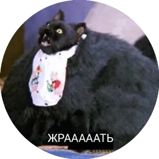 🍕 ЖРААААТЬ 猫, 黒猫, よだれかけ, 面白い, 動物, ミーム telegram sticker