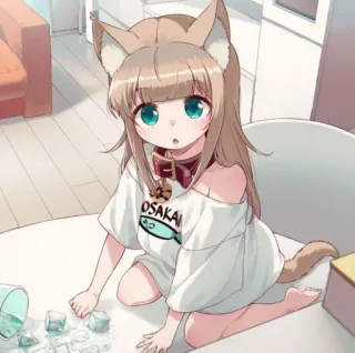 🧸 OSAKA Anime, Ragazza gatto, Ghiaccio, Carino, Osaka, Kemonomimi whatsapp sticker