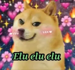 😏 Doge Doge Meme Elu elu elu doge, shiba inu, meme, cute, hearts, flushed, funny, dog telegram sticker