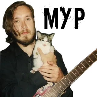 😻 hombre, gato, guitarra, retrato whatsapp sticker
