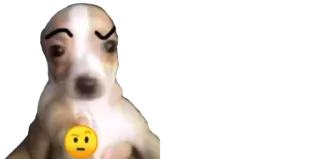 🤨 cachorro, emoji, engraçado, meme telegram sticker