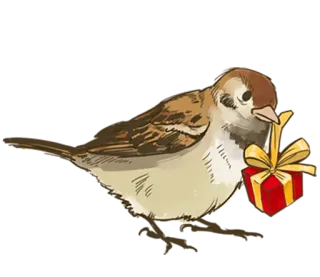 🎁 птица, воробей, подарок, подарок, милый, животное whatsapp sticker