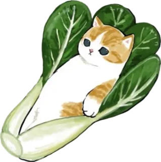 🥬 kucing, bok choy, sayur, lucu, binatang, hewan peliharaan, anak kucing, kartun telegram sticker