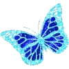 🦋