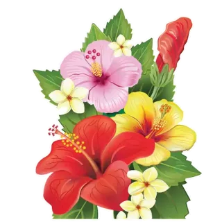💐 blumen, hibiskus, tropisch, floral, natur, frangipani telegram sticker