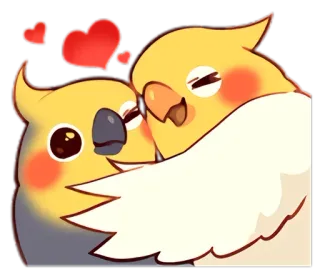 😍 pássaros, calopsitas, amor, corações, fofo, animais, adesivo telegram sticker