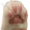 🐾