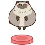 👍 raccoon, animal, thumbs up, cute, positive, approval telegram sticker