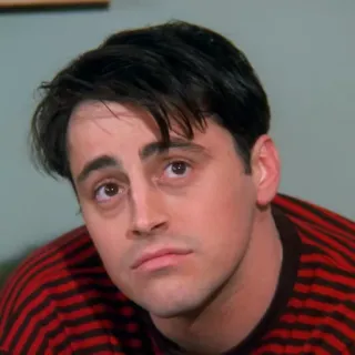🤔 Joey Tribbiani Friends série télévisée, friends, joey tribbiani, sitcom, matt leblanc, télévision telegram sticker