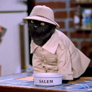 👷 Salem Saberhagen Sabrina the Teenage Witch SALEM cat, detective, funny, pet, Salem, Sabrina the Teenage Witch telegram sticker