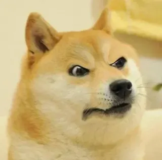 😒 Doge pies, mem, śmieszne, zwierzę domowe, zwierzę telegram sticker