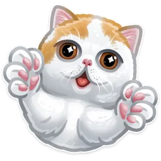 🐱 고양이, 새끼 고양이, 귀여운, 동물, 애완 동물, 사랑스러운 telegram sticker