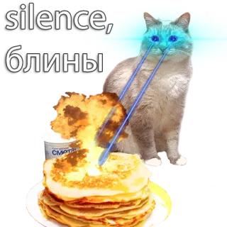 ⚡️ silence, блины cat, pancakes, blini, laser eyes, meme, russian telegram sticker