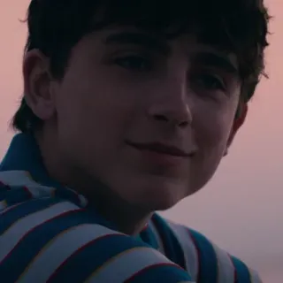 🙂 Timothée Chalamet актер, знаменитость, портрет, человек, мужчина whatsapp sticker