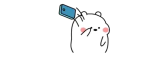 🧸 cute, bear, cartoon, ice bear, phone, taking photo, animal telegram sticker