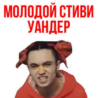 👌 МОЛОДОЙ СТИВИ УАНДЕР telegram sticker