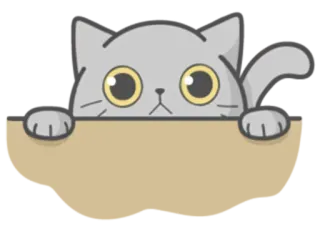 🙁 gato, fofo, animal, espiar, gatinho telegram sticker
