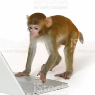 macaques ultimate telegram stickers