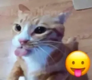 😛 고양이, 동물, 애완동물, 이모티콘, 혀, 귀여운, 밈 telegram sticker