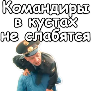 🚾 Командиры в кустах не слабаются militair, officier, russisch, commandanten, Bush telegram sticker
