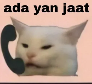 🌟 ada yan jaat kat, telefoon, meme, dier, grappig telegram sticker
