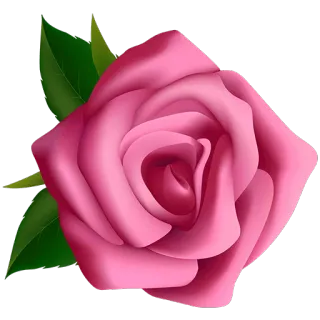 🌺 роза, цветок, розовый, цветы, растение, природа, цветение telegram sticker