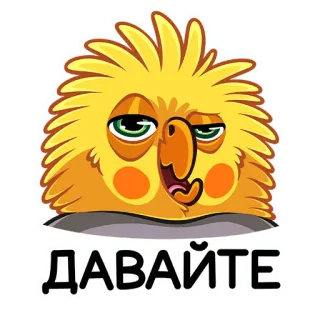 😏 ДАВАЙТЕ pássaro, calopsita, desenho animado, animal, meme telegram sticker