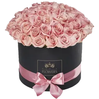🌷 MAFIA FLOWERS bunga, mawar, buket bunga, hadiah, kotak hitam, pita merah muda, rangkaian bunga, mewah whatsapp sticker