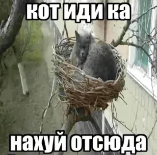 Больше стиков тут: @stikery4 telegram stickers