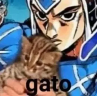 🐱 gato Katze, Tier, Kätzchen, Haustier telegram sticker
