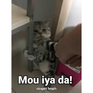 😀 Mou iya da!
ningen hmph cat, cute, japanese, funny, mou iya da telegram sticker