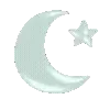 🌙
