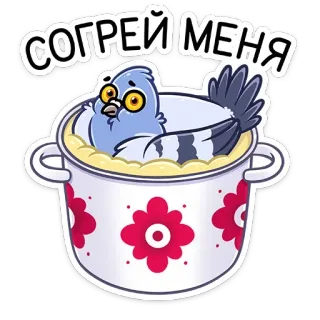🥘 СОГРЕЙ МЕНЯ paloma, pájaro, cocina, olla, pegatina, dibujo animado, lindo, animal telegram sticker