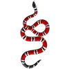 🐍